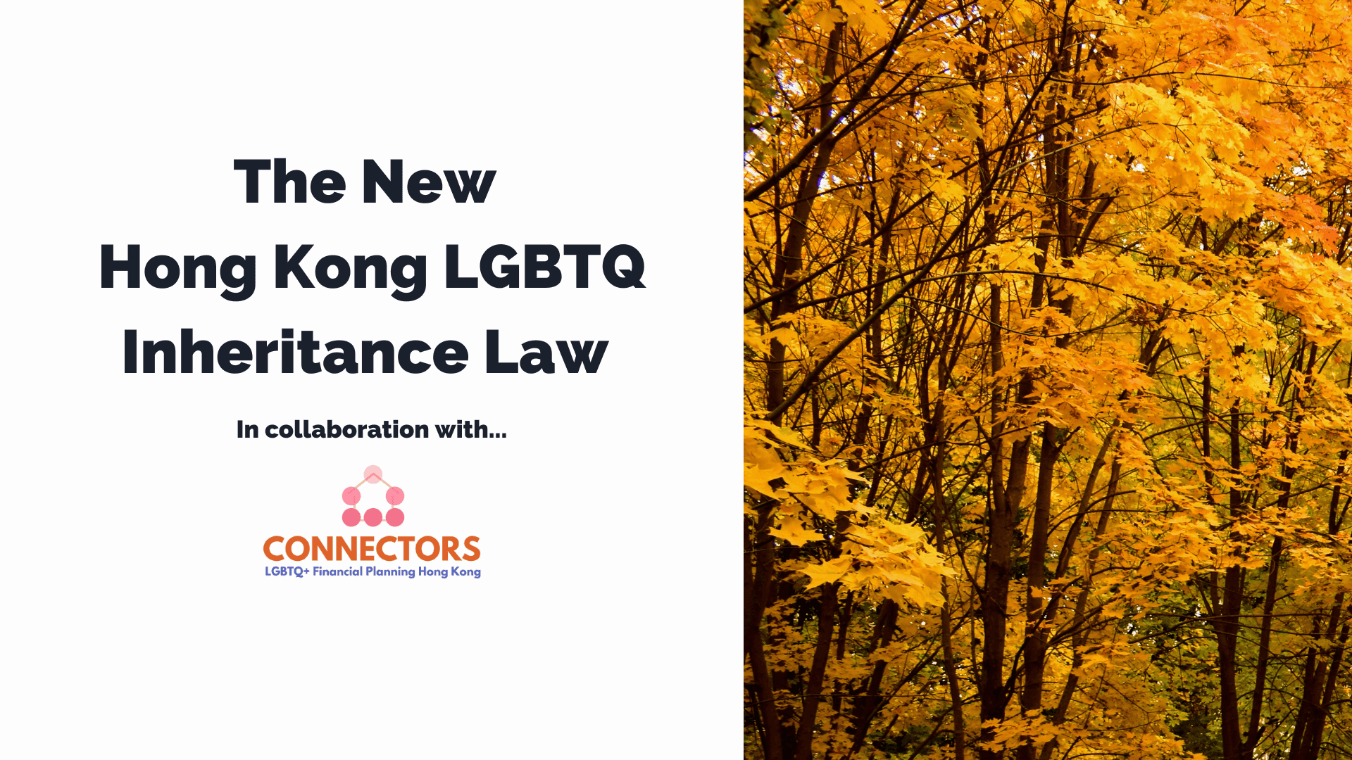 Connectors HK 同志人生設計：LGBTQ+伴侶為何必須立遺囑？